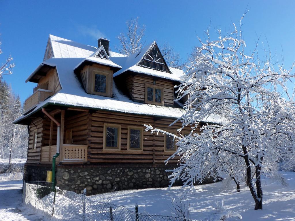 Willa Slimakowka Zakopane Ngoại thất bức ảnh